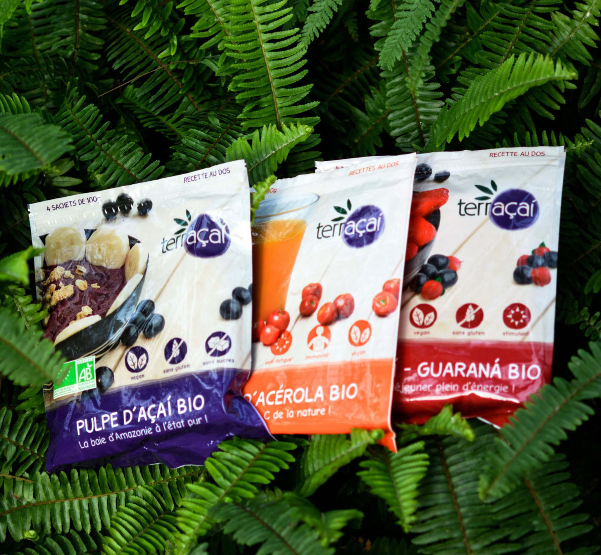 <p><strong>Expansion and Innovation</strong></p><p>Nossa! is rapidly expanding by offering frozen pulp in an industrial format, as well as the Terraçai brand for organic stores.</p>
